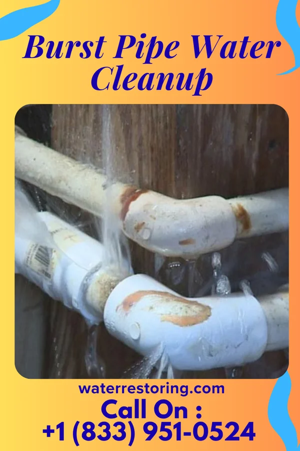 Burst Pipe Water Cleanup in Mount Gay-Shamrock, WV
