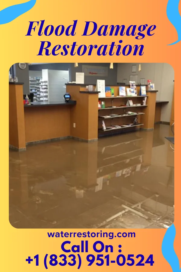Flood Damage Restoration in Mount Gay-Shamrock, WV
