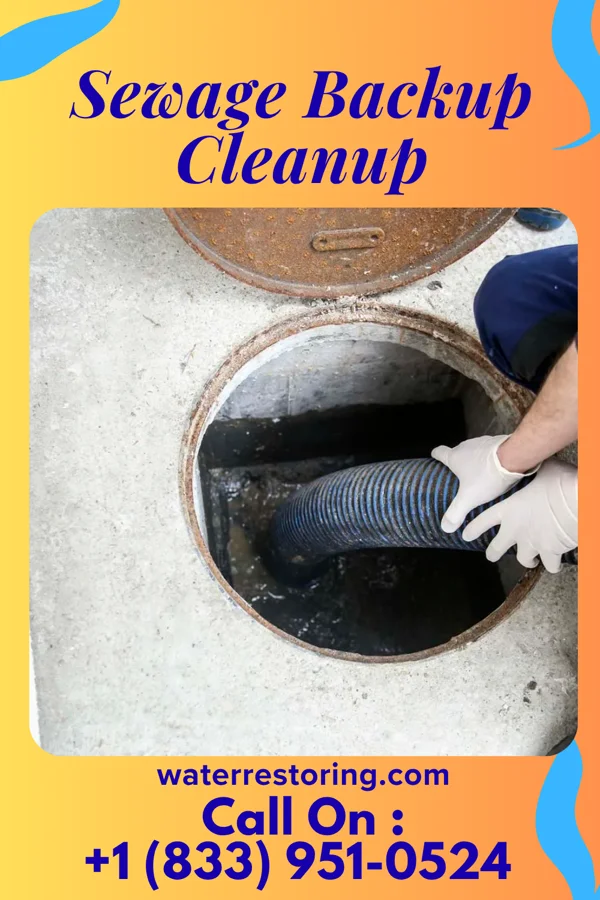 Sewage Backup Cleanup in Mount Gay-Shamrock, WV