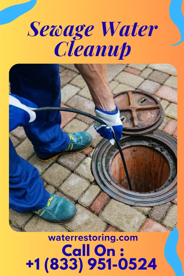 Sewage Water Cleanup in Mount Gay-Shamrock, WV