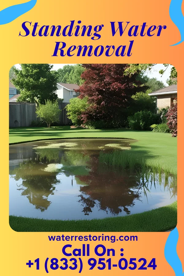 Standing Water Removal in Mount Gay-Shamrock, WV